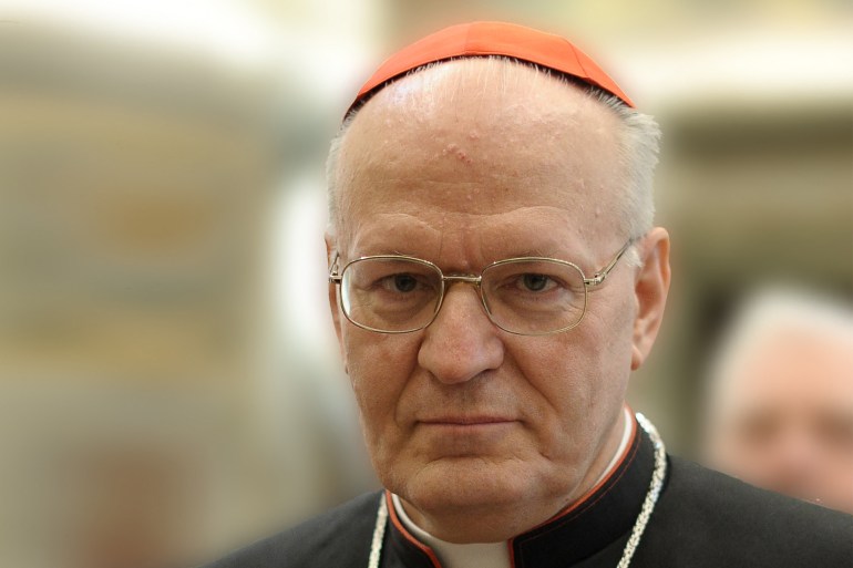 This handout picture released by the Vatican Press Office taken on February 28, 2013 shows Hungarian cardinal Peter Erdo. AFP PHOTO/OSSERVATORE ROMANO RESTRICTED TO EDITORIAL USE - MANDATORY CREDIT “AFP PHOTO/OSSERVATORE ROMANO" (Photo by OSSERVATORE ROMANO / AFP)