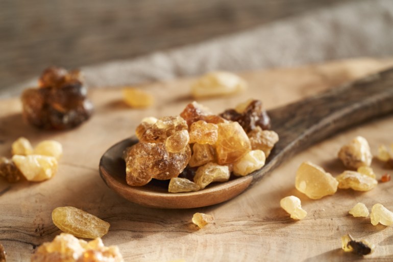 Frankincense or boswellia resin on an spoon. Ingredient for essential oils.