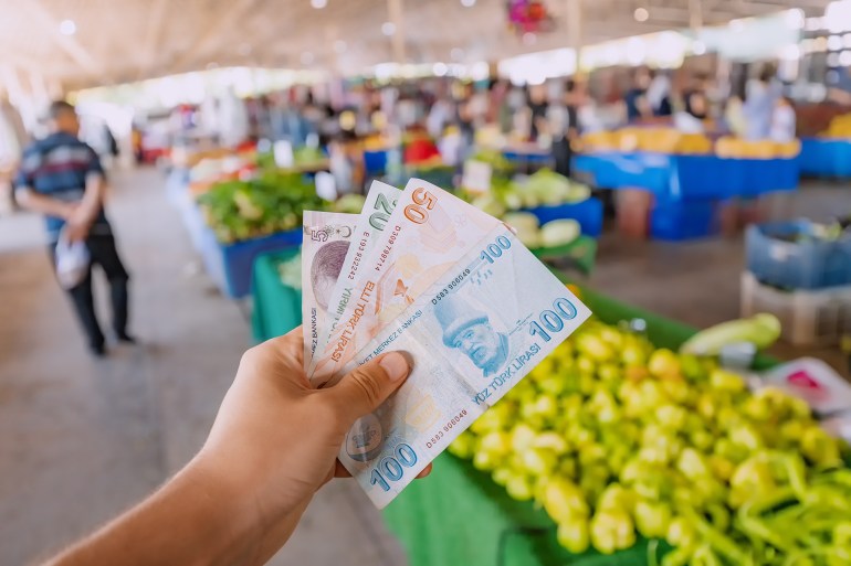 Turkish lira banknotes in hand against the background of vegetables at the farmer's market. The concept of consumer economy and inflation of the national currency of Turkey.; Shutterstock ID 2176941781; purchase_order: aj; job: ; client: ; other: