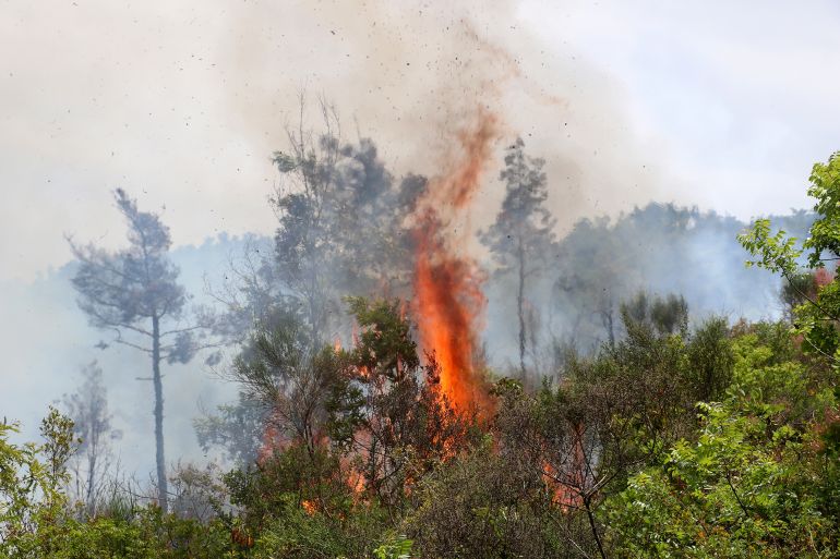 LATAKIA, SYRIA - MAY 09: A general view of the flames and smoke rising from burning trees as firefighters and Latakia Civil Defense (White Helmets) teams continue their efforts to extinguish the forest fire that broke out near the Seren village of the Bayirbucak region of Latakia province, Syria on May 09, 2025. (Photo by Sevket Akca/Anadolu via Getty Images)